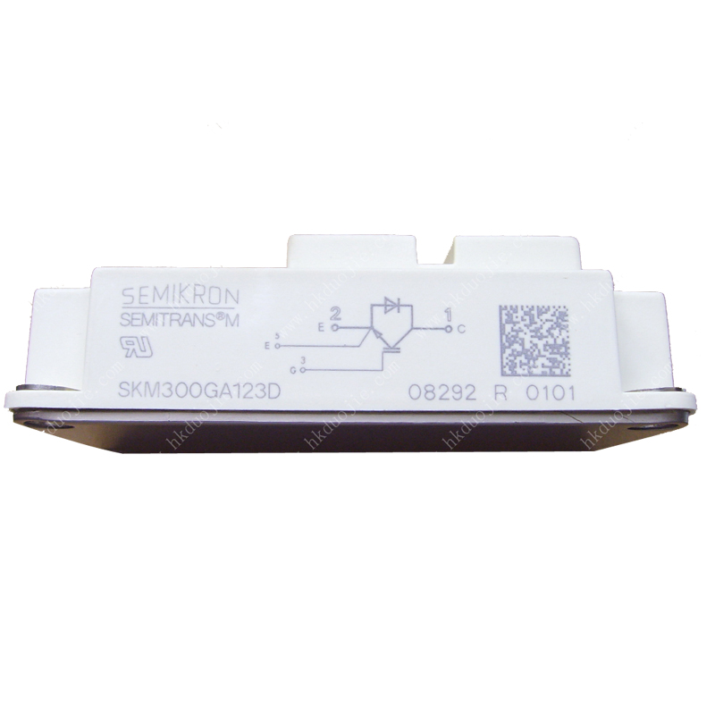 SKM300GA123D SEMIKRON IGBT Module
